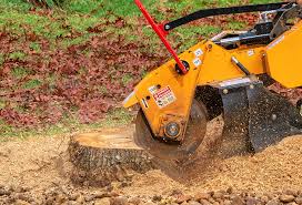 How Our Tree Care Process Works  in  Melrose, MN