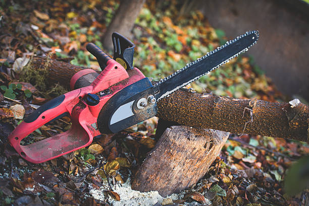 Soil Testing and Treatment in Melrose, MN
